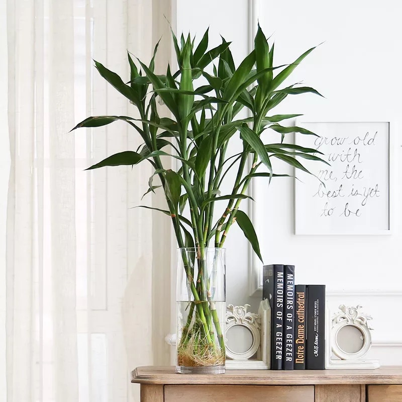 Rett sylindrisk glassvase